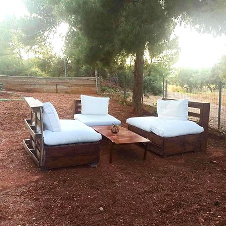 Elena'S Farm House Near Airport And Artemida Beach מראה חיצוני תמונה